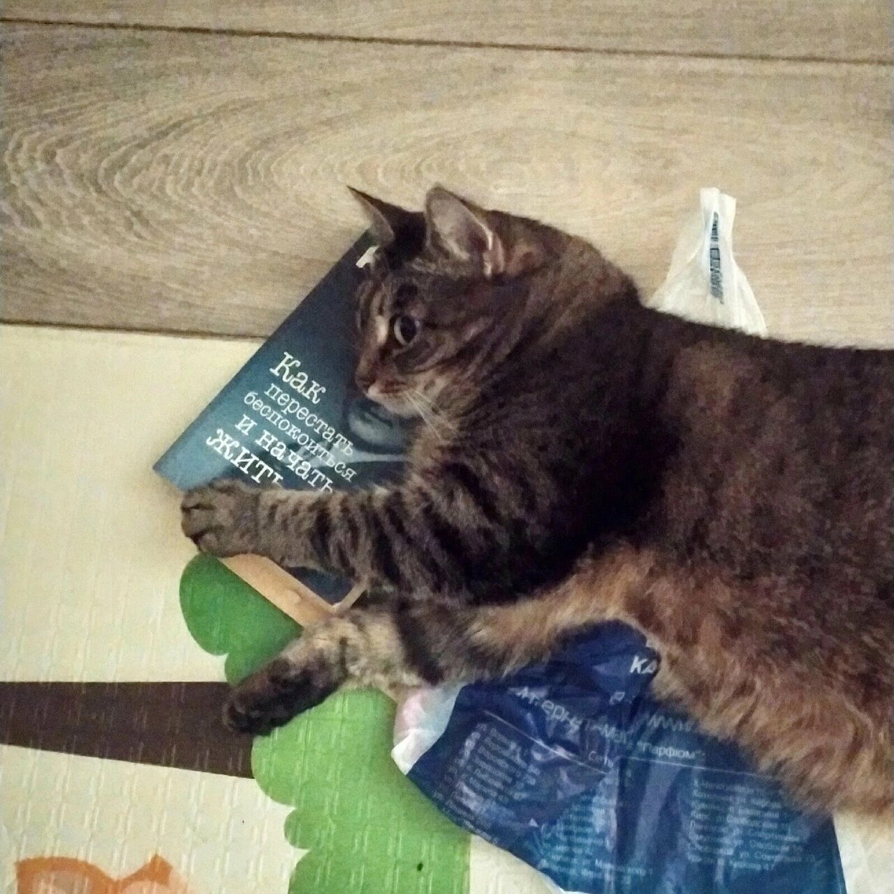 Гостиница Восьмое небо Киров-56