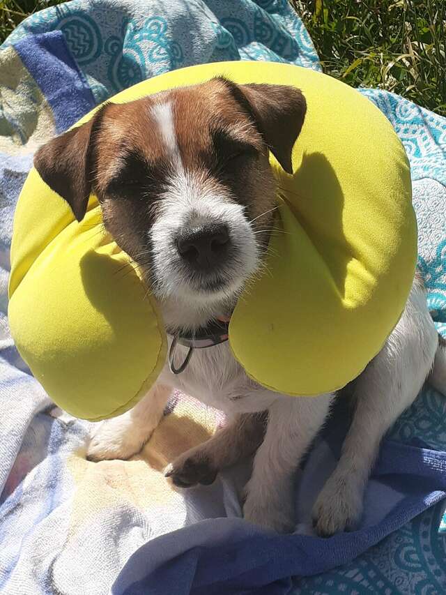 Гостиница Восьмое небо Киров-39