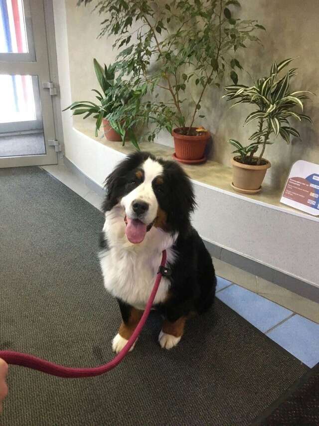 Гостиница Восьмое небо Киров-32